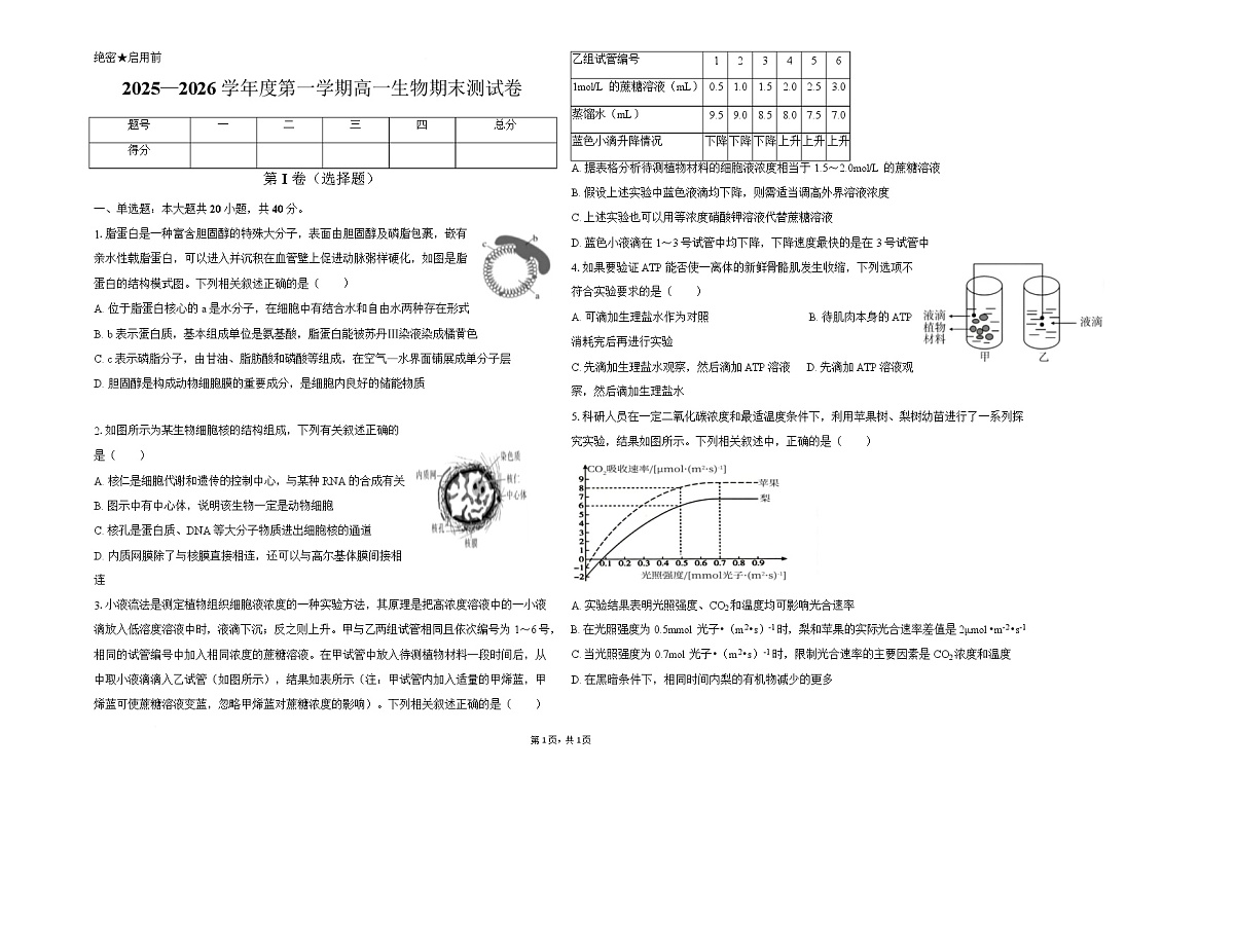 黑龙江齐齐哈尔市重点高中2025-2026学年高一上学期1月期末考试 生物(含答案）第1页