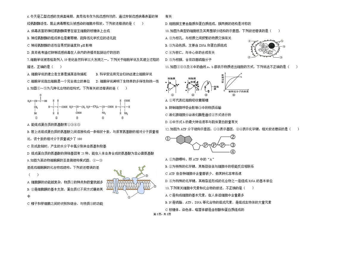 黑龙江齐齐哈尔市重点高中2025-2026学年高一上学期1月期末考试 生物(含答案）第2页
