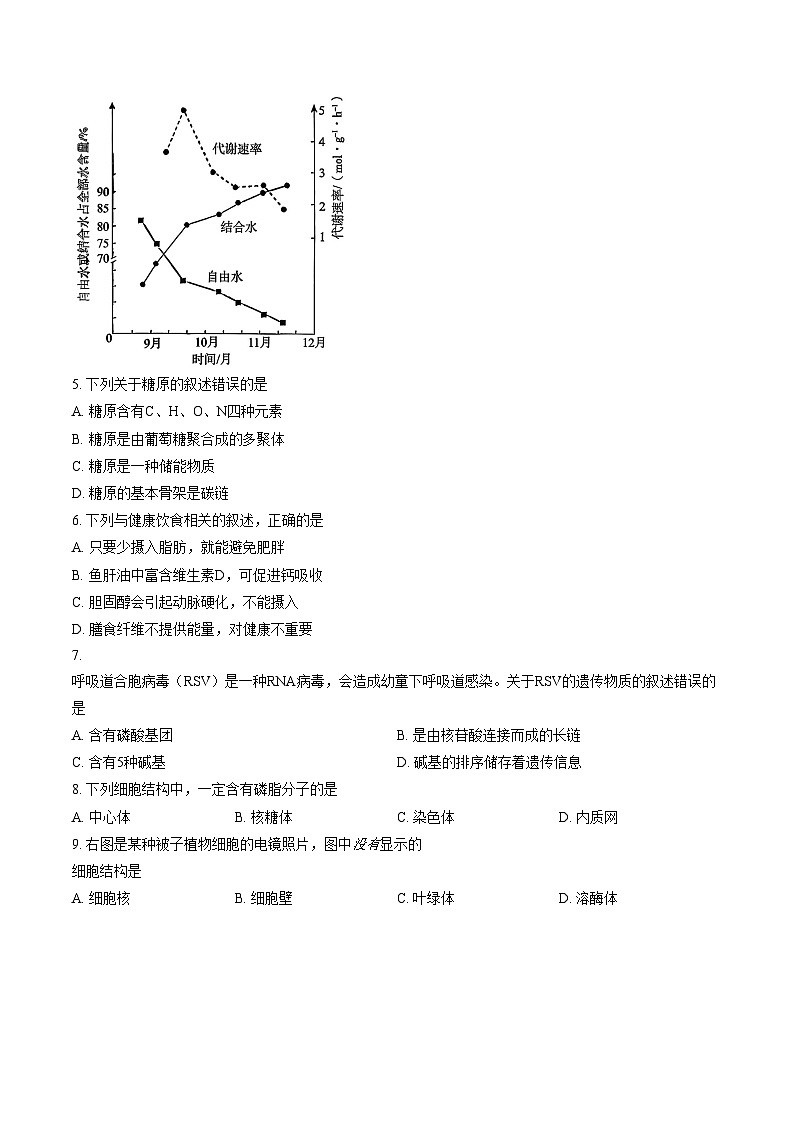 2026北京朝阳高一（上）期末生物（文字版，含答案）第2页