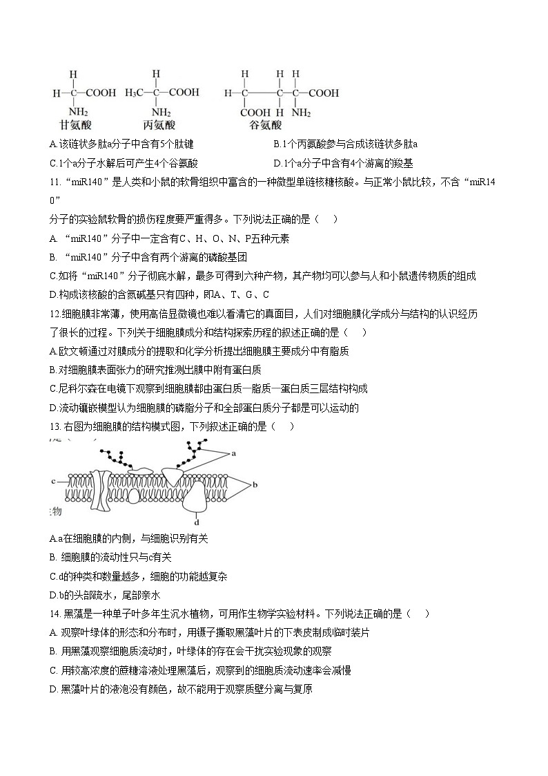 黑龙江省哈尔滨市师范大学附属中学2025_2026学年高一上学期期末考试生物试题（文字版，含答案）第3页