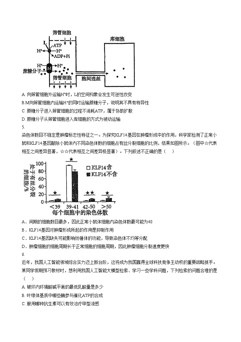 天津市武清区杨村第一中学2025—2026学年高三上学期第二次考试生物试题（文字版，含答案）第2页