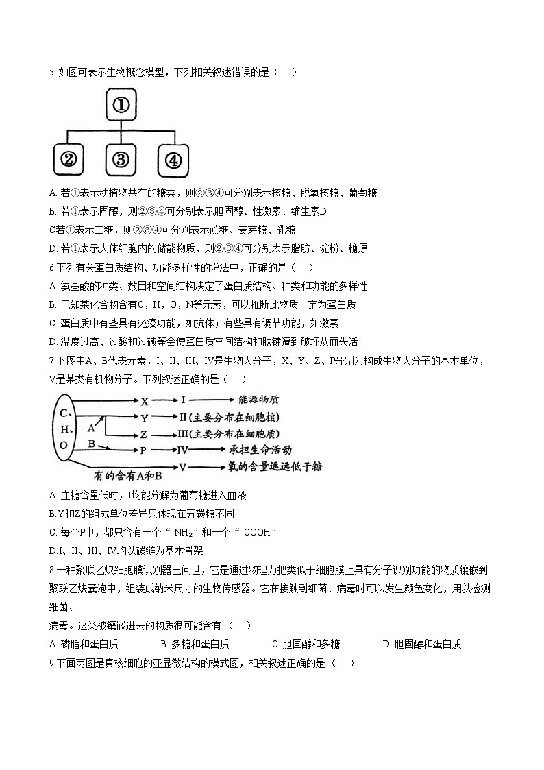天津市南开区9中2025_2026学年高一上学期第二次月考生物试卷（文字版，含答案）第2页