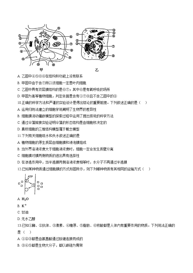 天津市南开区9中2025_2026学年高一上学期第二次月考生物试卷（文字版，含答案）第3页
