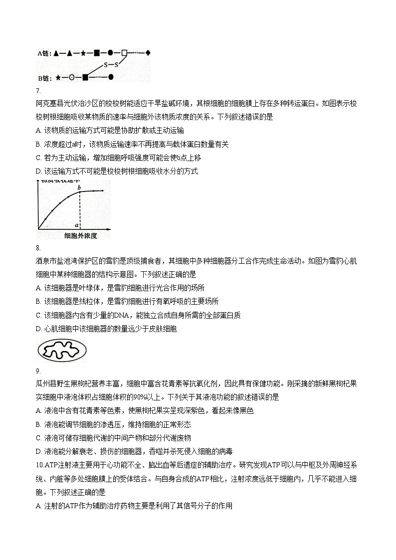 甘肃省酒泉市2025_2026学年高一上学期1月期末生物试题（文字版，含答案）第3页