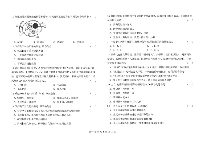 甘肃省兰州市八校联考2025-2026学年高一上学期期末考试生物试卷第2页