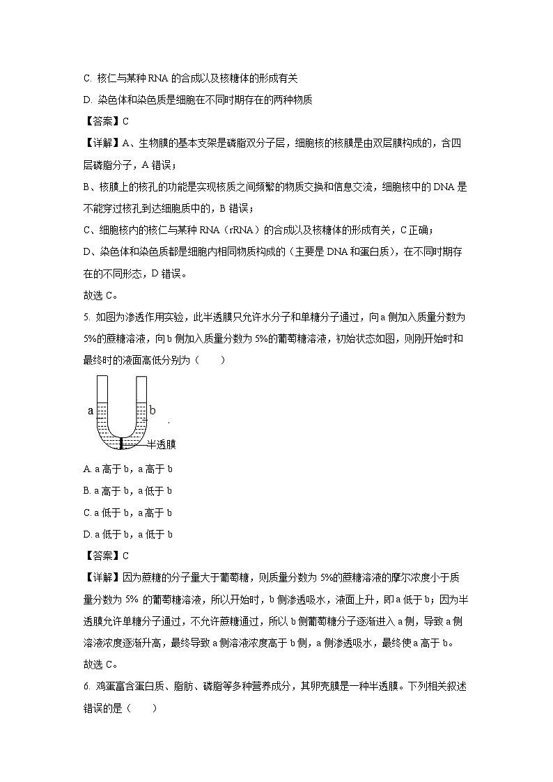 【生物】河北省六校联合体2025-2026学年高一上学期期中考试试题（解析版）第3页