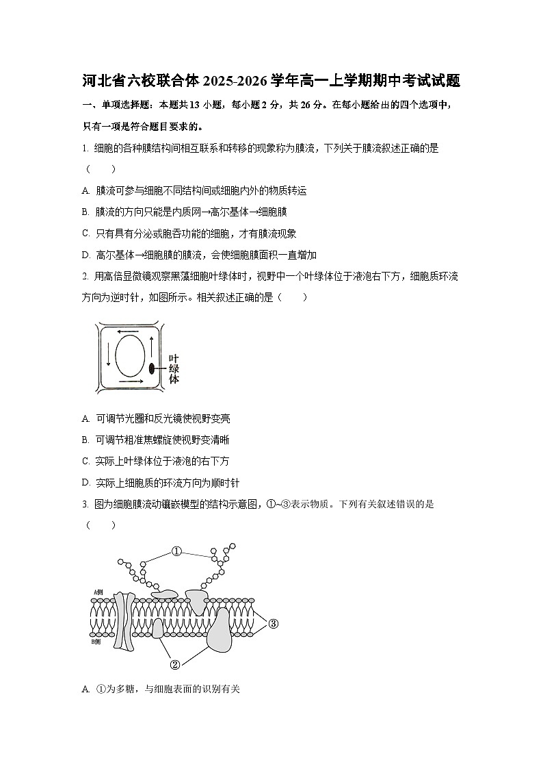 【生物】河北省六校联合体2025-2026学年高一上学期期中考试试题（学生版）第1页