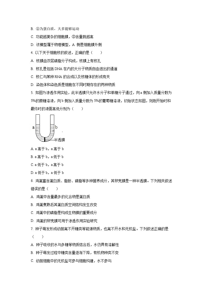 【生物】河北省六校联合体2025-2026学年高一上学期期中考试试题（学生版）第2页
