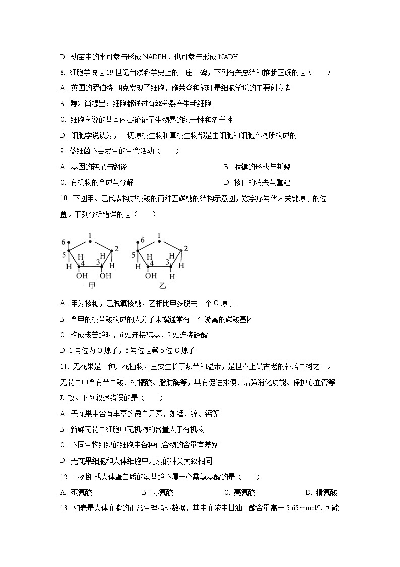 【生物】河北省六校联合体2025-2026学年高一上学期期中考试试题（学生版）第3页