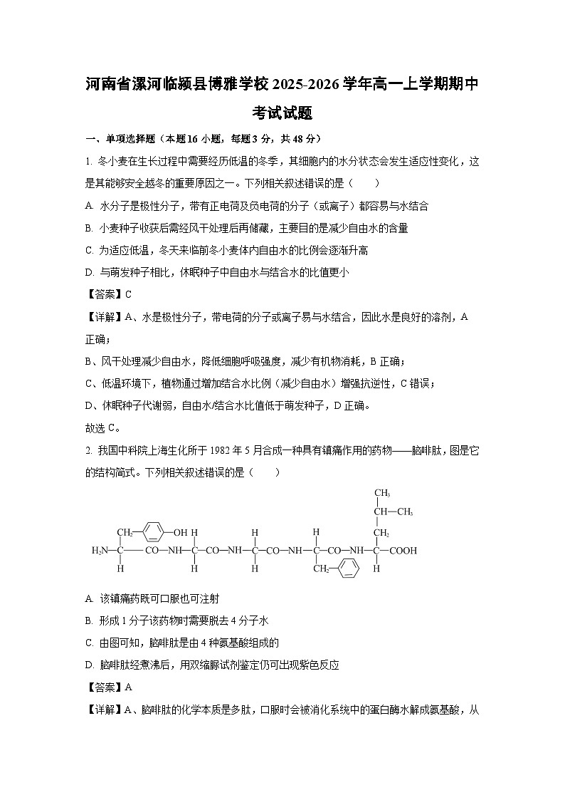 【生物】河南省漯河临颍县博雅学校2025-2026学年高一上学期期中考试试题（解析版）第1页