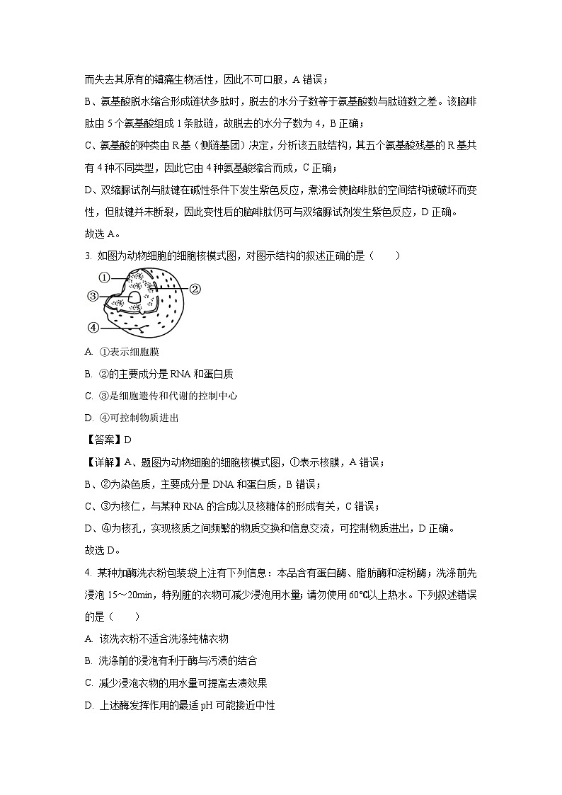 【生物】河南省漯河临颍县博雅学校2025-2026学年高一上学期期中考试试题（解析版）第2页