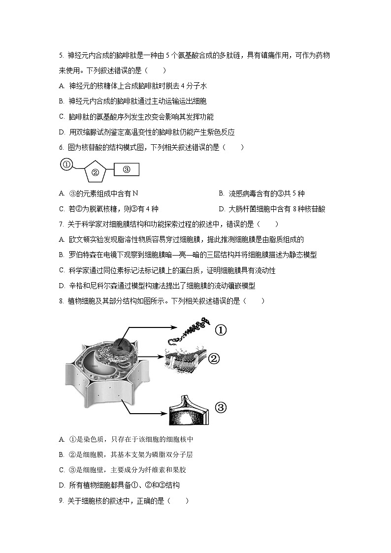 【生物】江苏省百校大联考2025-2026学年高一上学期12月阶段检测试卷（学生版）第2页