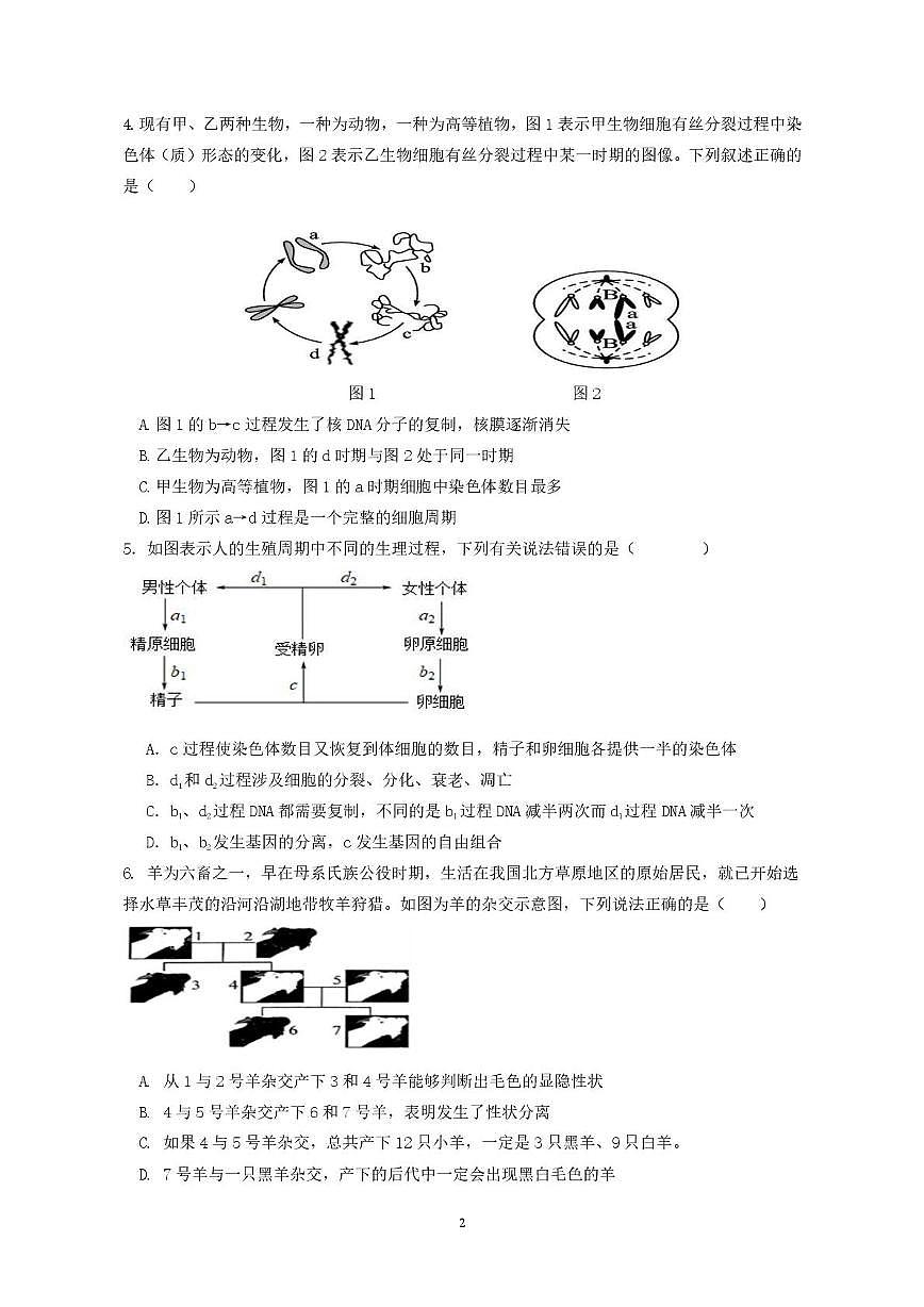 广东省香山中学、高要一中、广信中学2024-2025学年高一下学期第一次教学质量检测生物试题（无答案）第2页