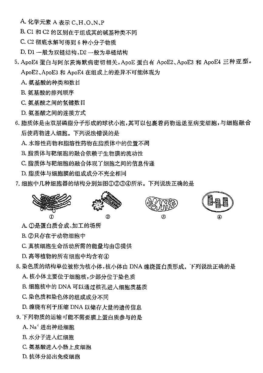 云南省昆明市五华区2024-2025学年高一上学期12月月考试题生物试卷（无答案）第2页