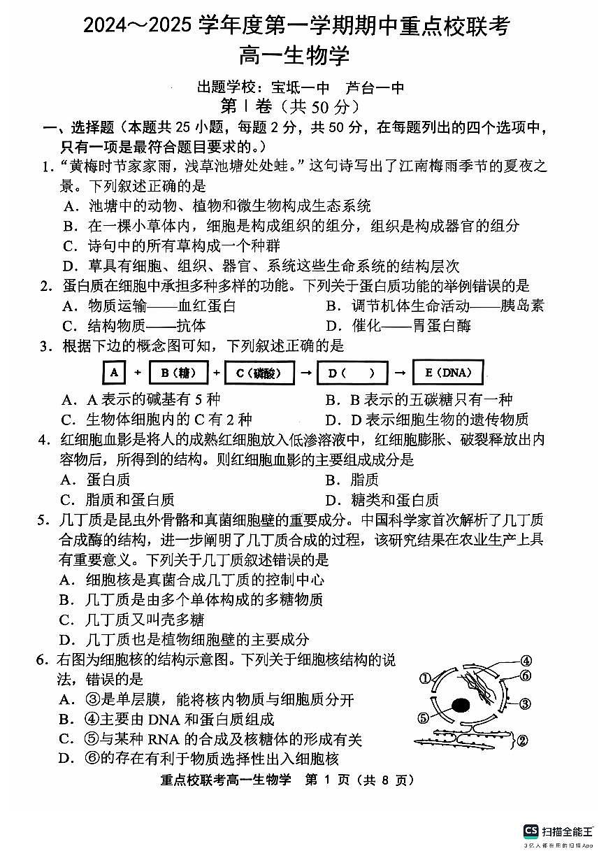 天津市五区县重点校联考2024-2025学年高一上学期11月期中考试生物试卷（无答案）第1页