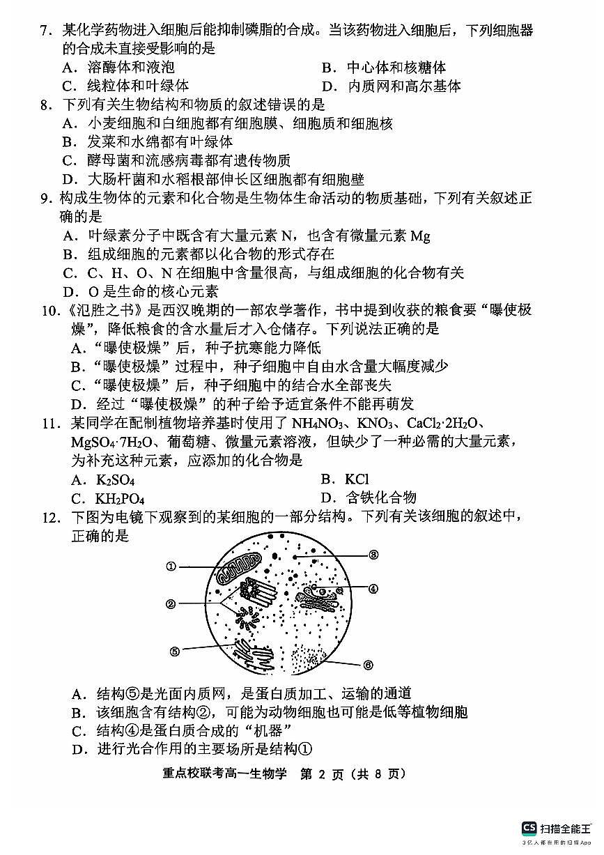 天津市五区县重点校联考2024-2025学年高一上学期11月期中考试生物试卷（无答案）第2页