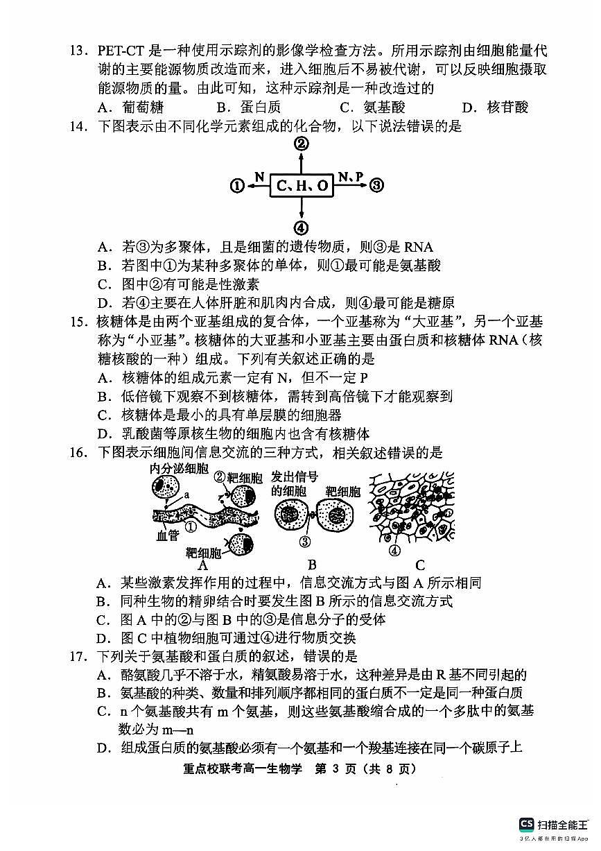 天津市五区县重点校联考2024-2025学年高一上学期11月期中考试生物试卷（无答案）第3页