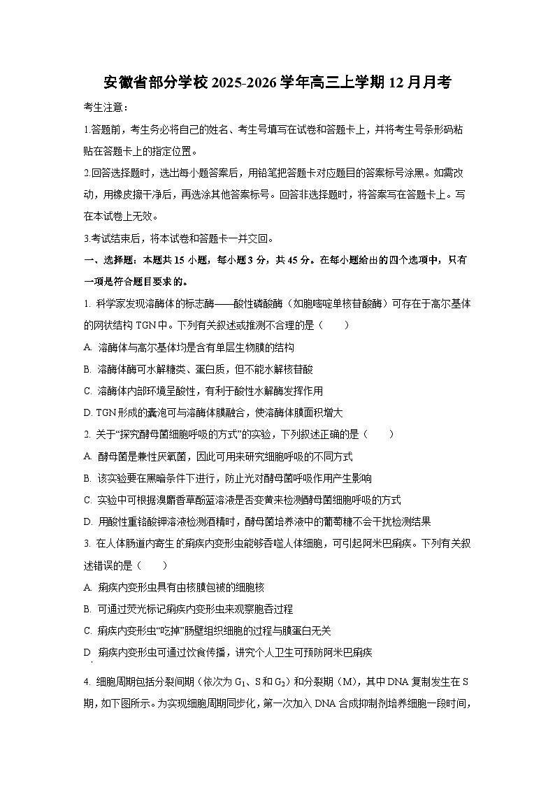 【生物】安徽省部分学校2025-2026学年高三上学期12月月考（学生版）第1页