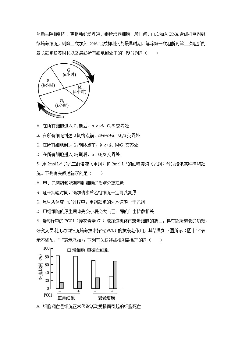 【生物】安徽省部分学校2025-2026学年高三上学期12月月考（学生版）第2页