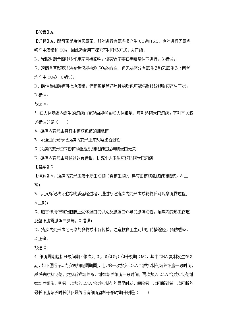 【生物】安徽省部分学校2025-2026学年高三上学期12月月考（解析版）第2页