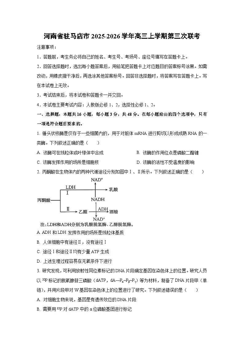 【生物】河南省驻马店市2025-2026学年高三上学期第三次联考（学生版）第1页