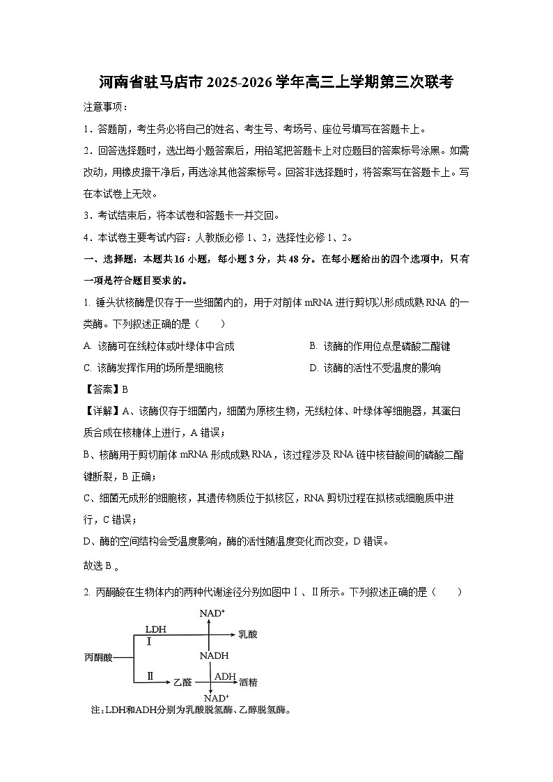 【生物】河南省驻马店市2025-2026学年高三上学期第三次联考（解析版）第1页
