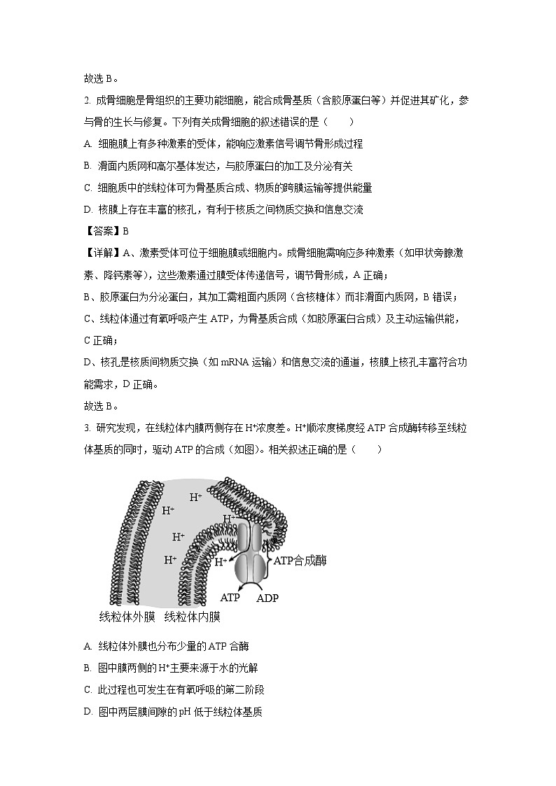 【生物】江苏省海安市2025-2026学年高三上学期期中考试（解析版）第2页