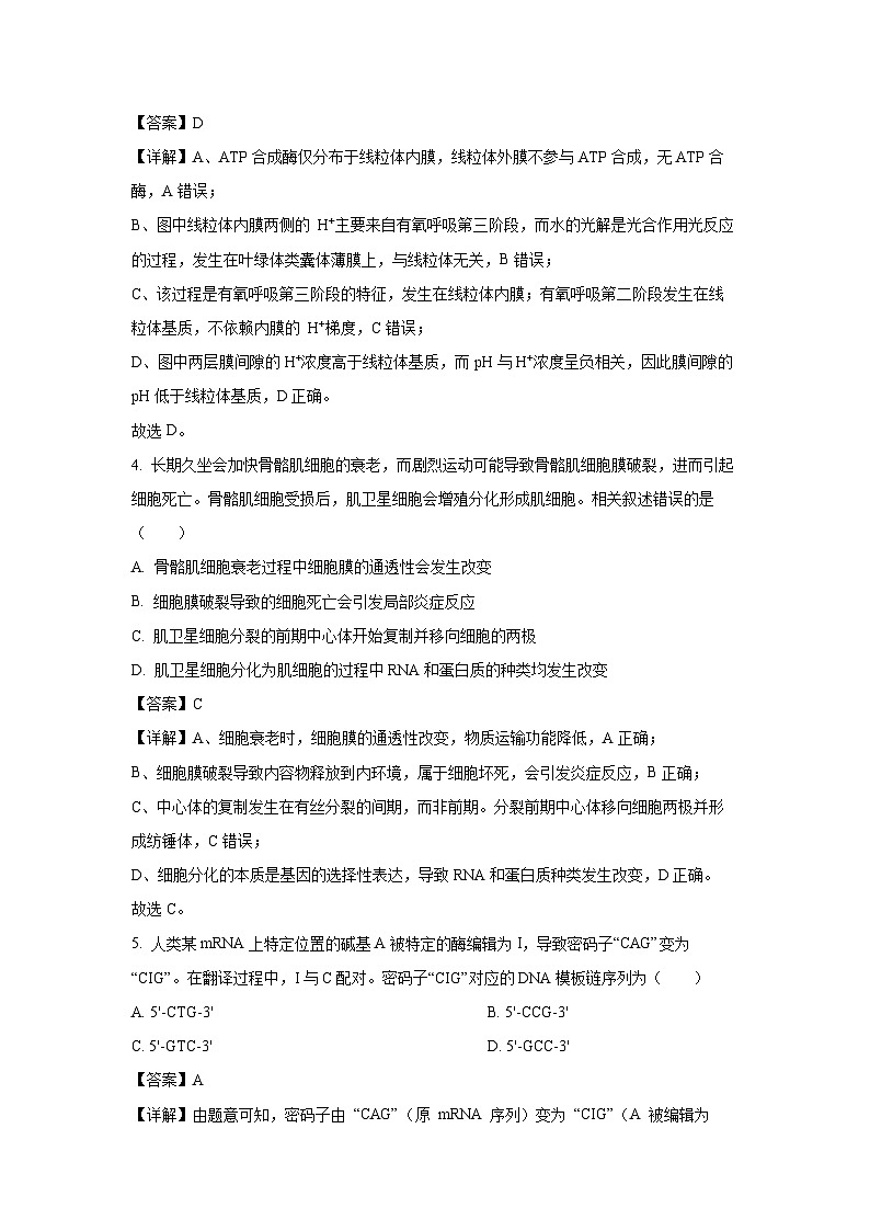 【生物】江苏省海安市2025-2026学年高三上学期期中考试（解析版）第3页
