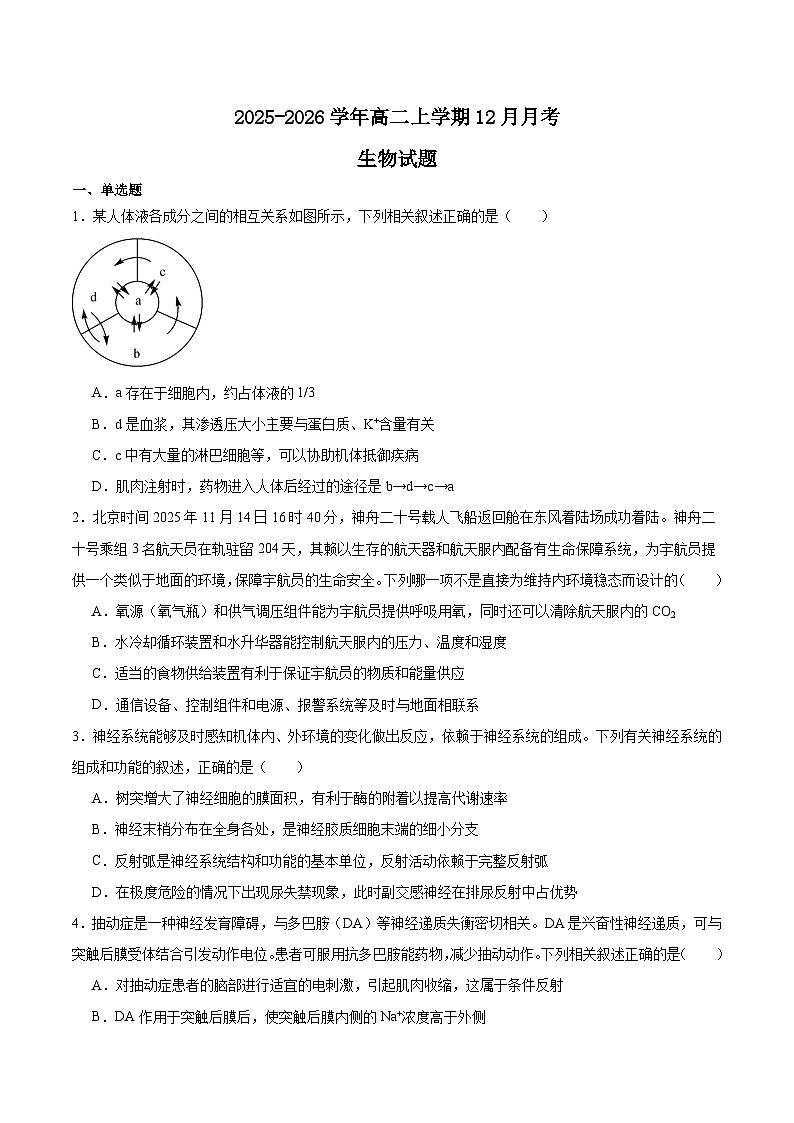 贵州省县中联盟2025-2026学年高二上学期12月自主命题考试生物试卷（Word版附答案）第1页
