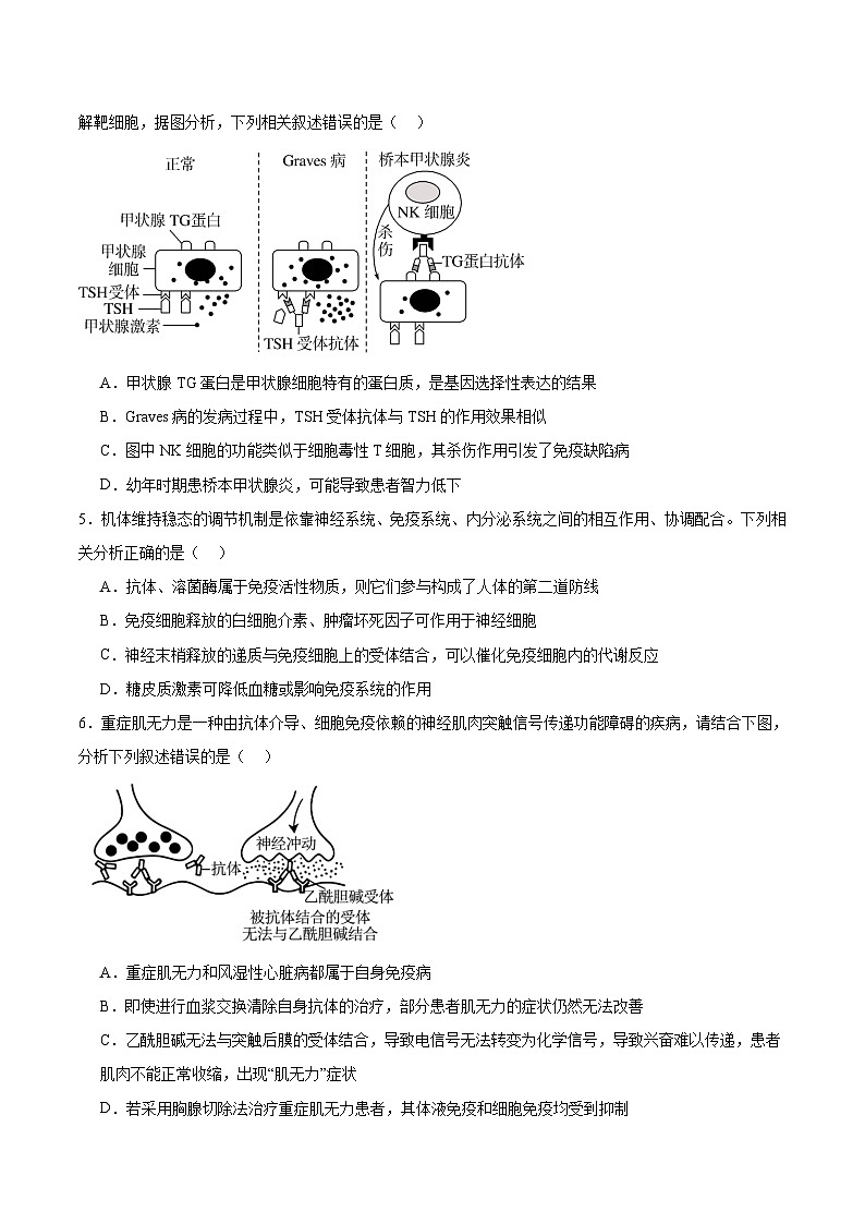 河北省石家庄市等两地2025-2026学年高二上学期12月联考生物试卷（Word版附答案）第2页