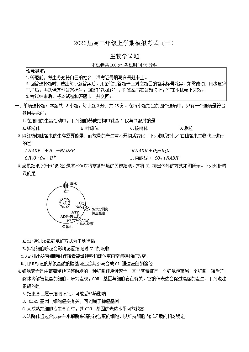 河北省七校2026届高三上学期1月一模考试生物试卷（Word版附答案）第1页