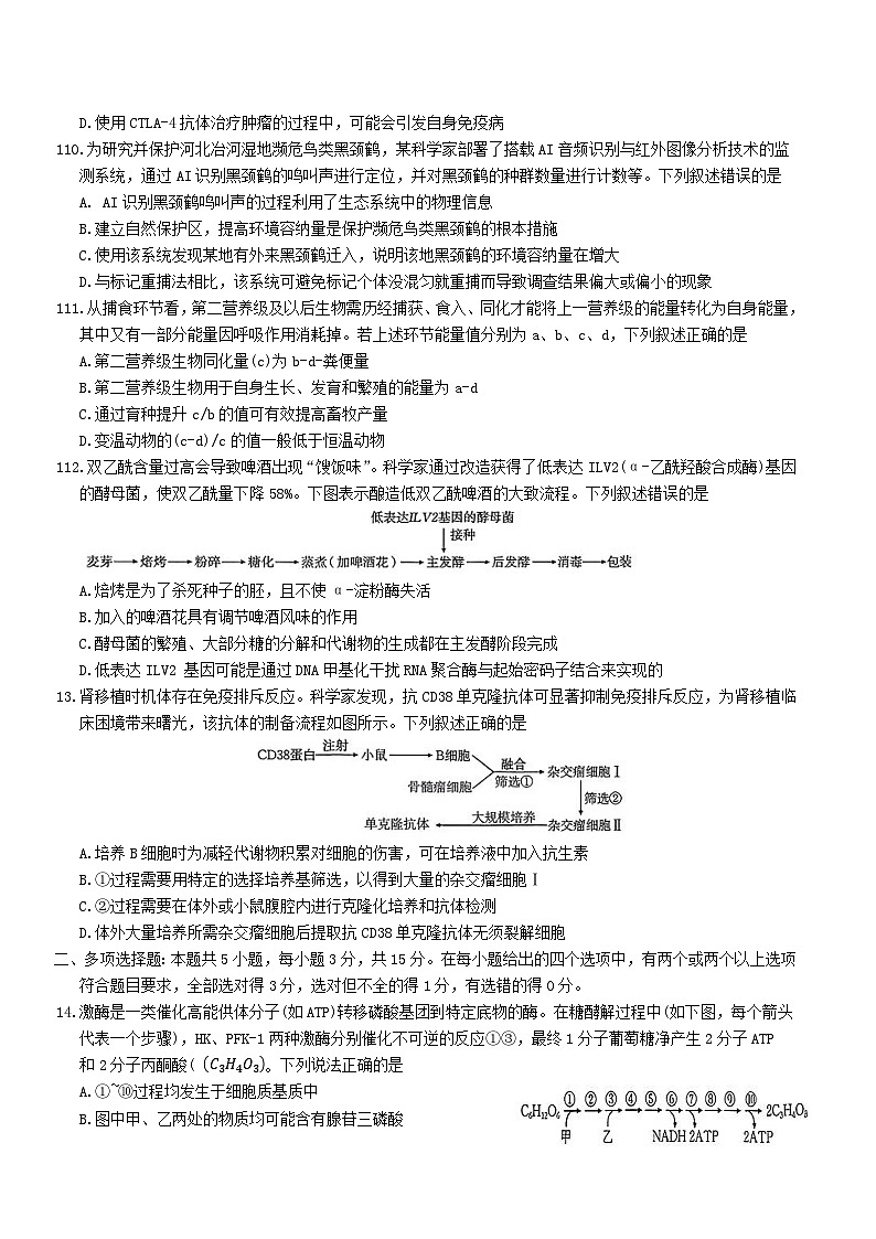 河北省七校2026届高三上学期1月一模考试生物试卷（Word版附答案）第3页