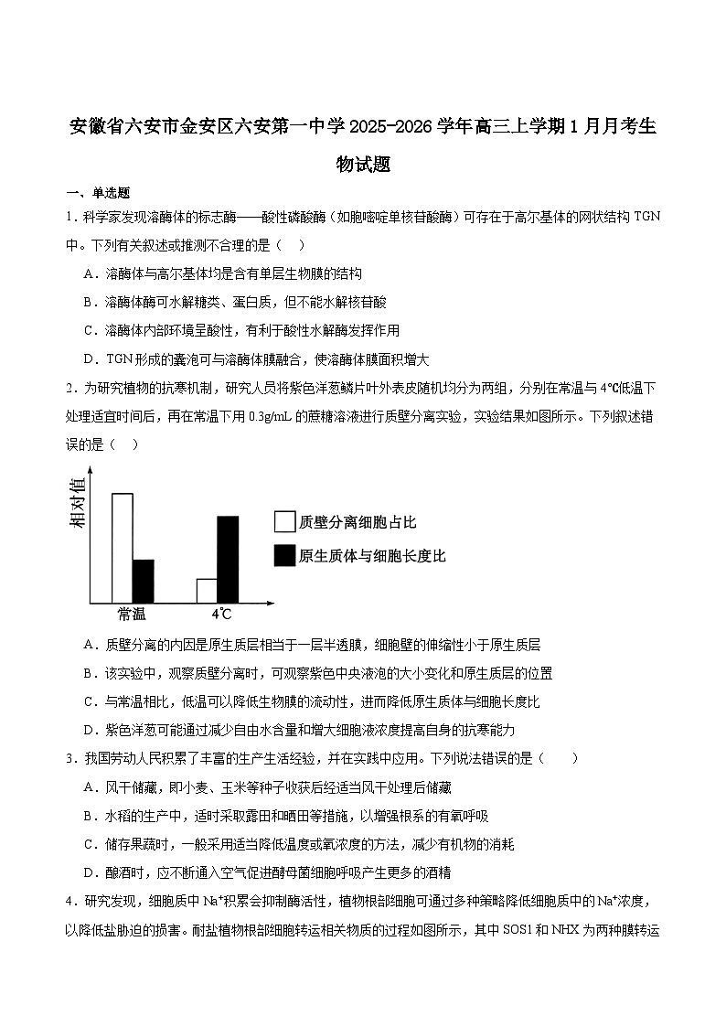 安徽省六安第一中学2026届高三上学期第五次月考（1月）生物试卷（含答案）第1页