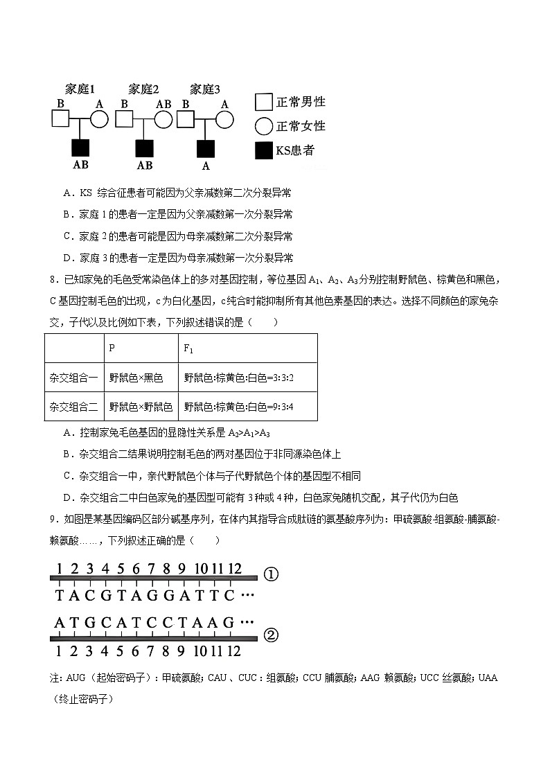 安徽省六安第一中学2026届高三上学期第五次月考（1月）生物试卷（含答案）第3页