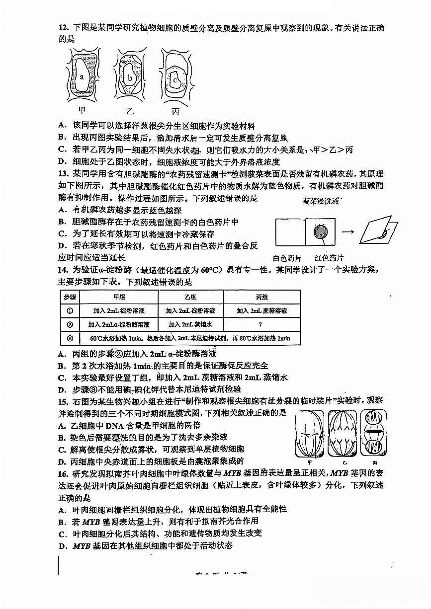 生物-浙江省宁波市镇海中学2025-2026学年第一学期高一年级期末考试卷+答案第3页