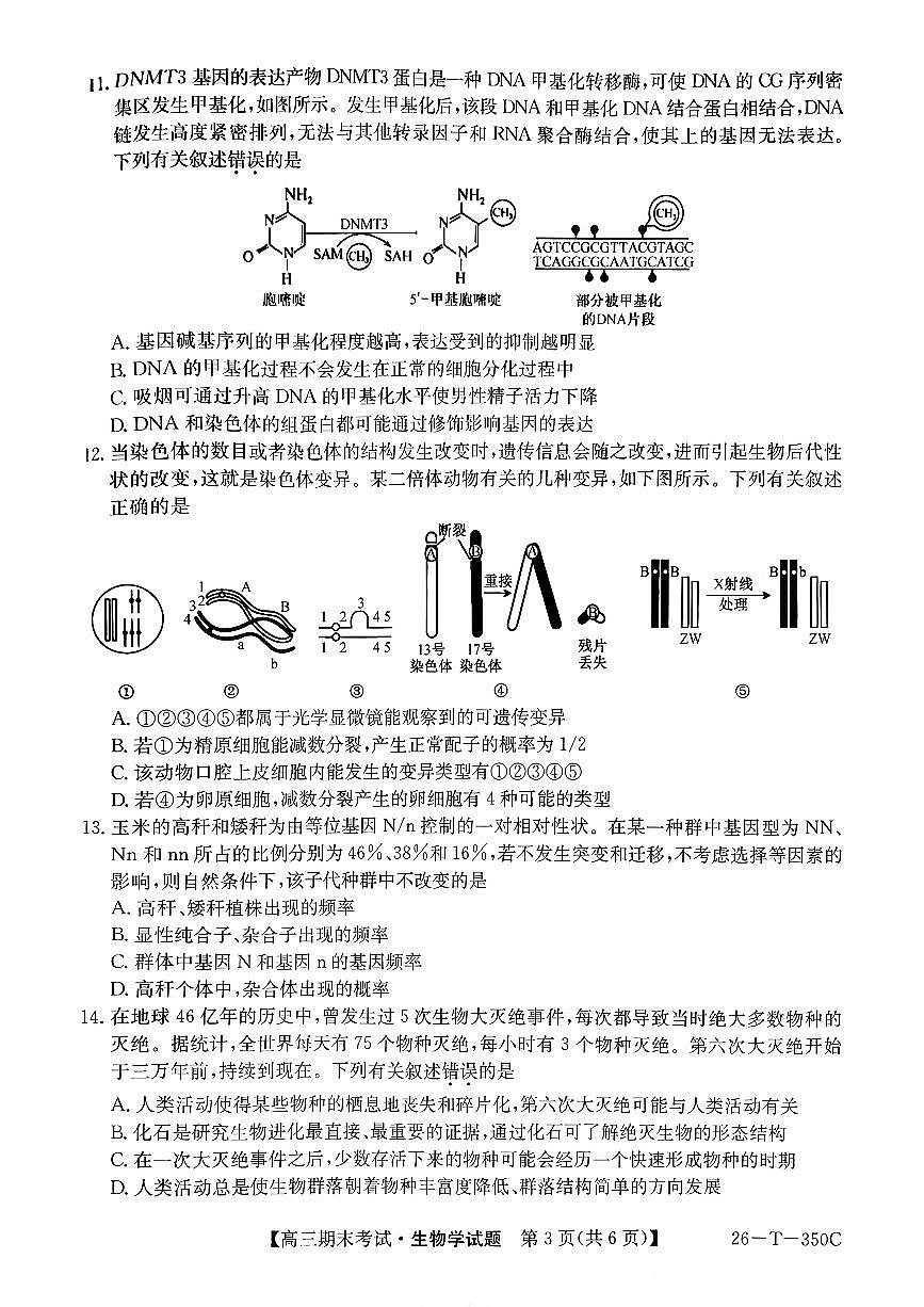 2025-2026学年高三上学期1月生物试题无答案第3页