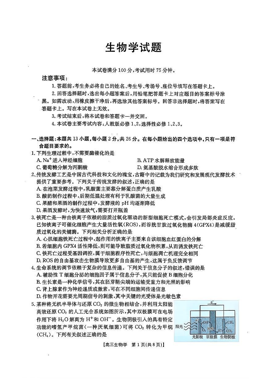 生物-河北五个一名校联盟2026届高三1月联考试卷及答案第1页