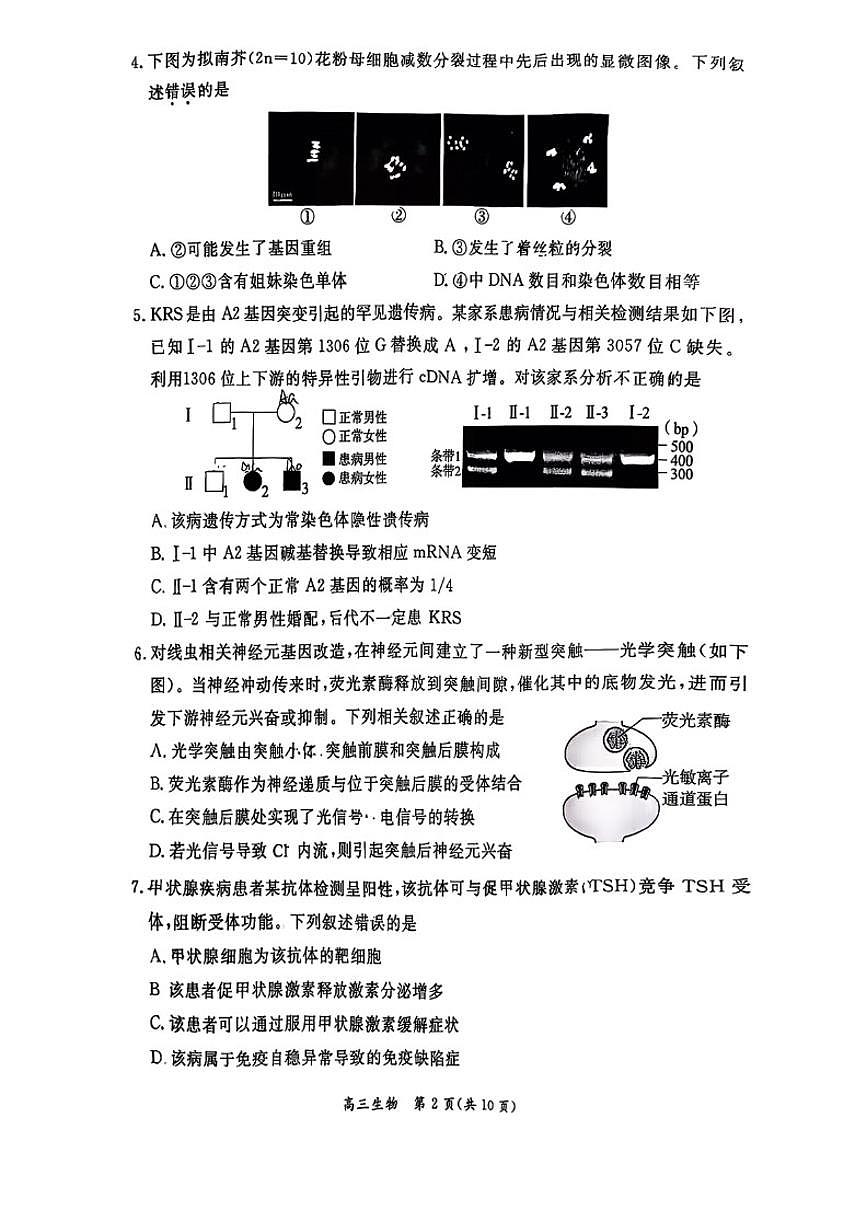 2025-2026学年北京市东城区高三上学期期末生物试题（含答案）第2页