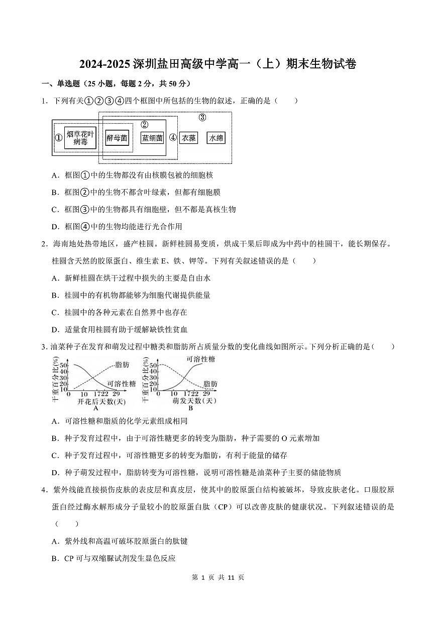 2024-2025学年深圳市盐田高级中学高一(上)期末生物试卷含答案第1页