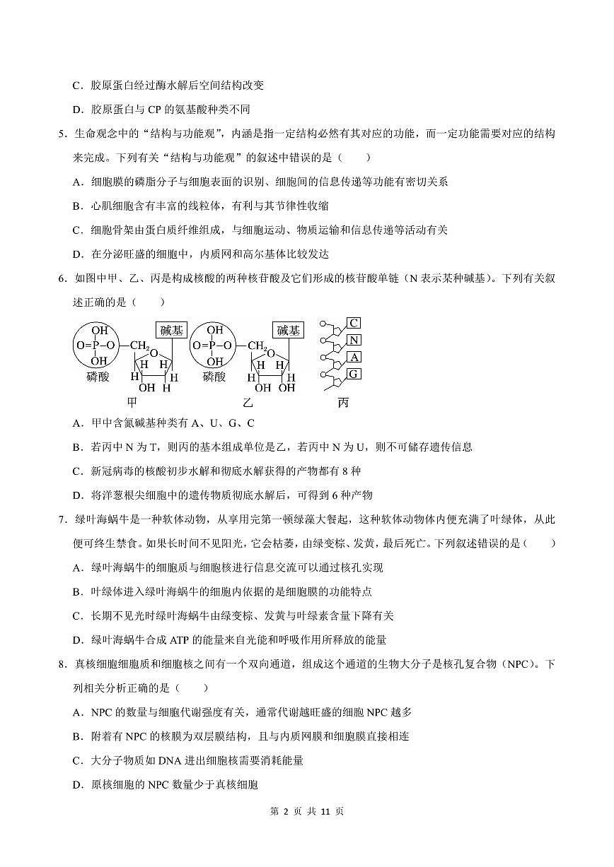 2024-2025学年深圳市盐田高级中学高一(上)期末生物试卷含答案第2页