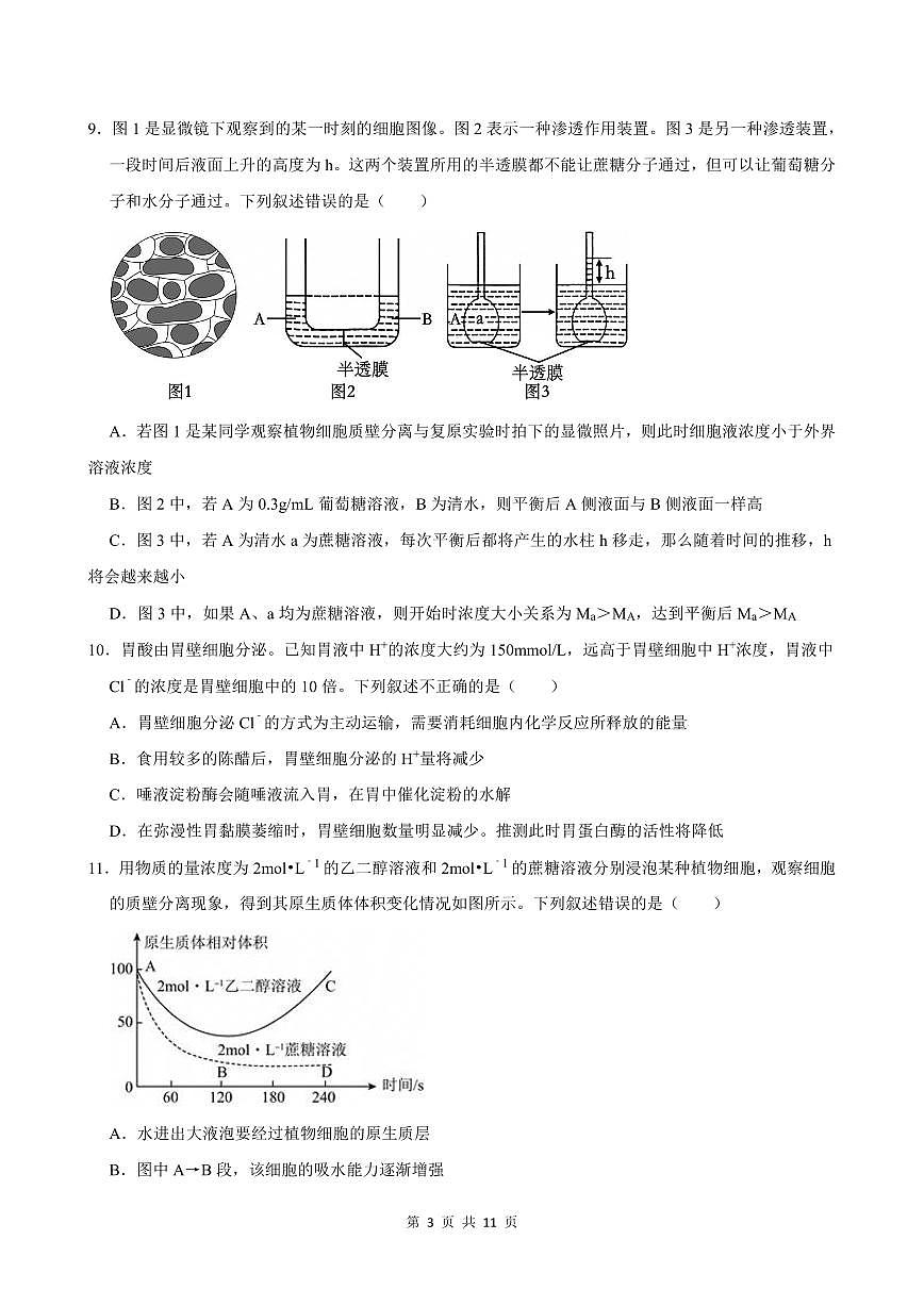 2024-2025学年深圳市盐田高级中学高一(上)期末生物试卷含答案第3页