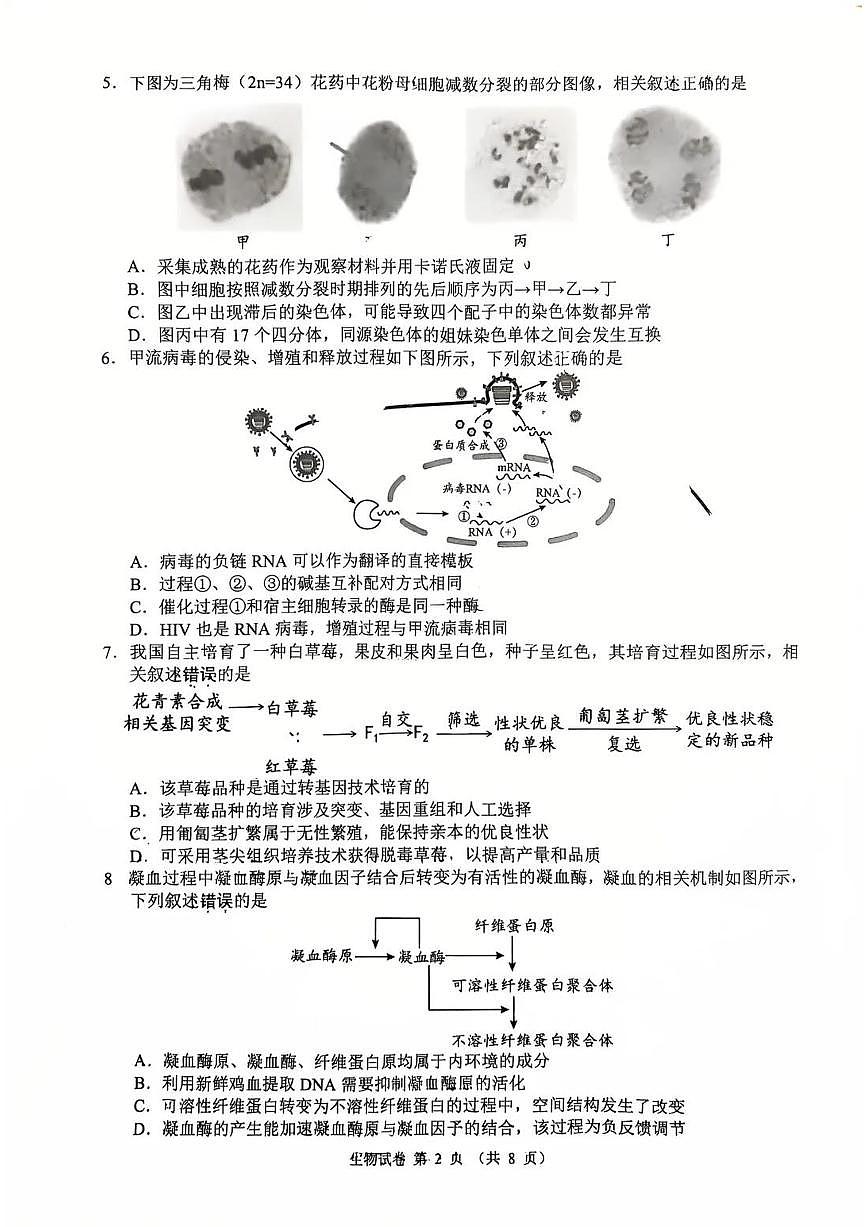 江苏省扬州市2026届高三上学期期末考试(扬州一模)生物试题（无答案）第2页
