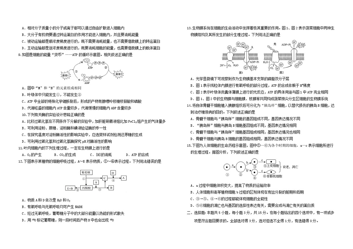 吉林省长春市2025_2026学年高一生物上学期期末考试含解析第2页