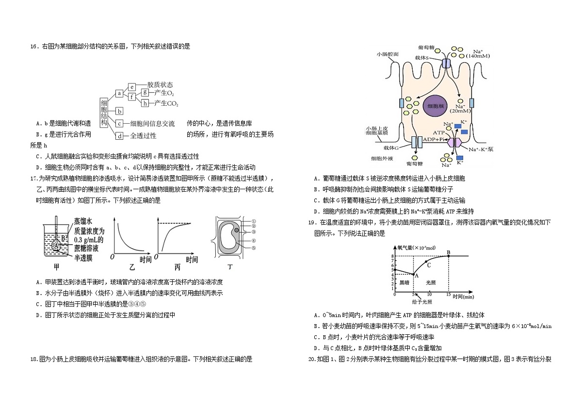 吉林省长春市2025_2026学年高一生物上学期期末考试含解析第3页