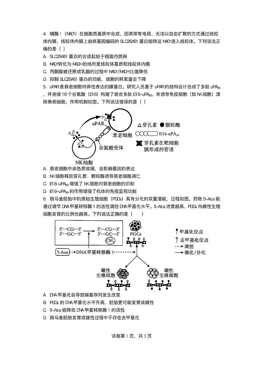 四川省绵阳市2025_2026学年高三生物上学期1月月考试题pdf第2页