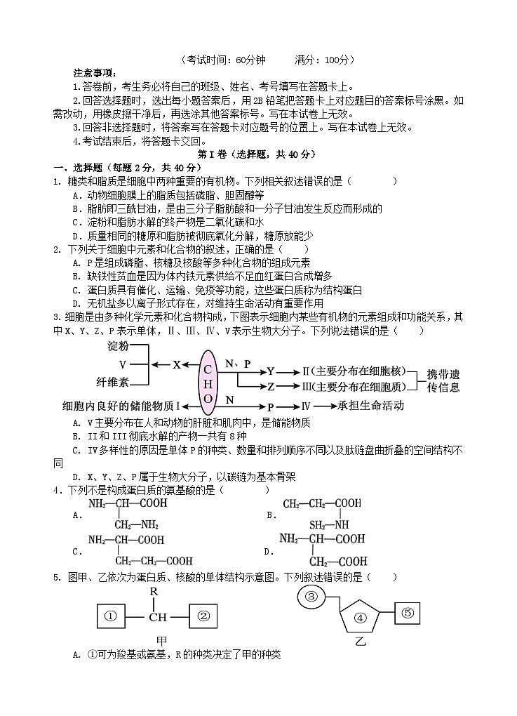 四川省遂宁市2025_2026学年高一生物上学期1月月考试题第1页