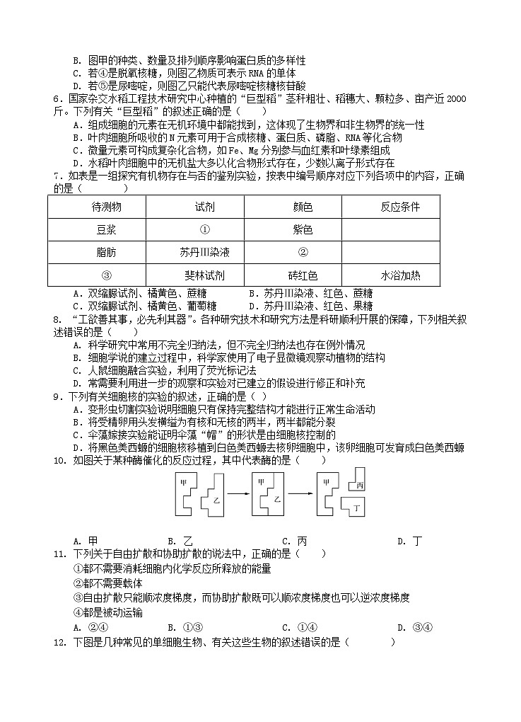 四川省遂宁市2025_2026学年高一生物上学期1月月考试题第2页