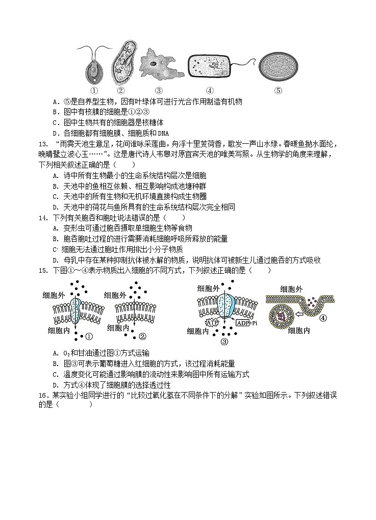 四川省遂宁市2025_2026学年高一生物上学期1月月考试题第3页