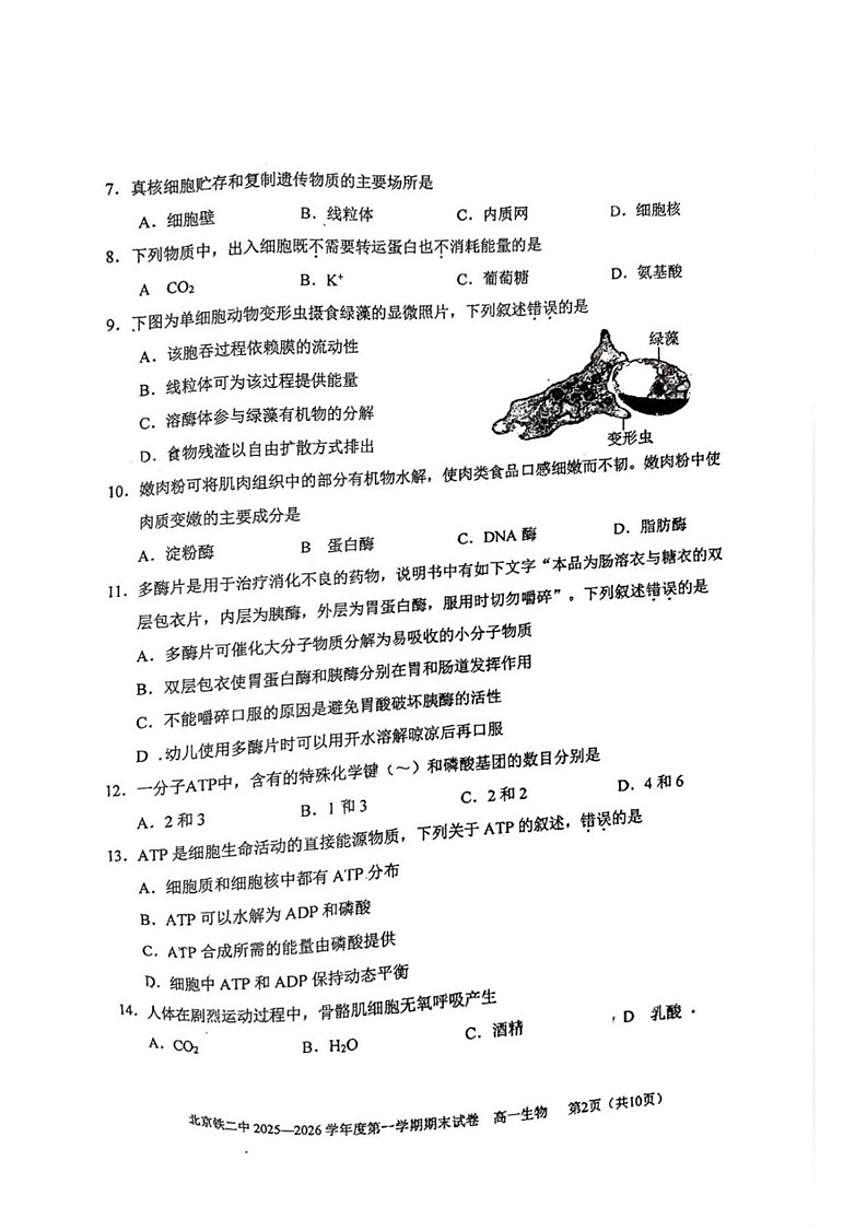 2025-2026学年北京市铁路第二中学高一上学期1月期末生物试题_(无答案_)第2页