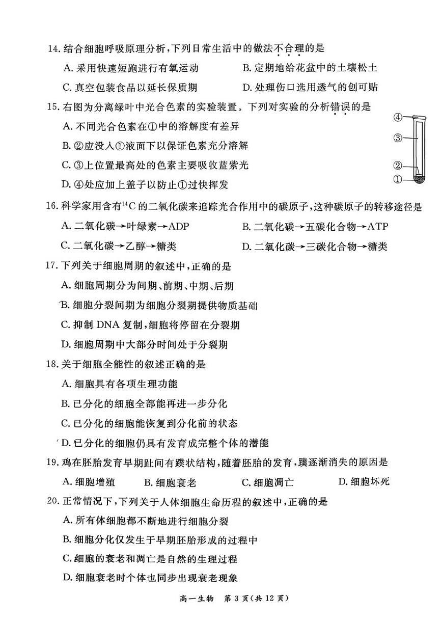2025-2026学年北京市东城区高一上学期期末生物试卷（含答案）第3页
